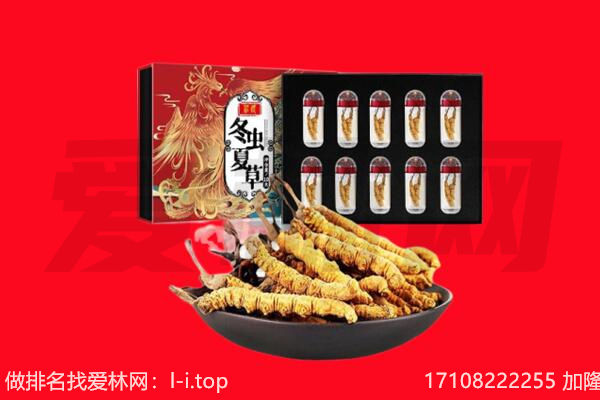 江门新会区回收虫草.jpg